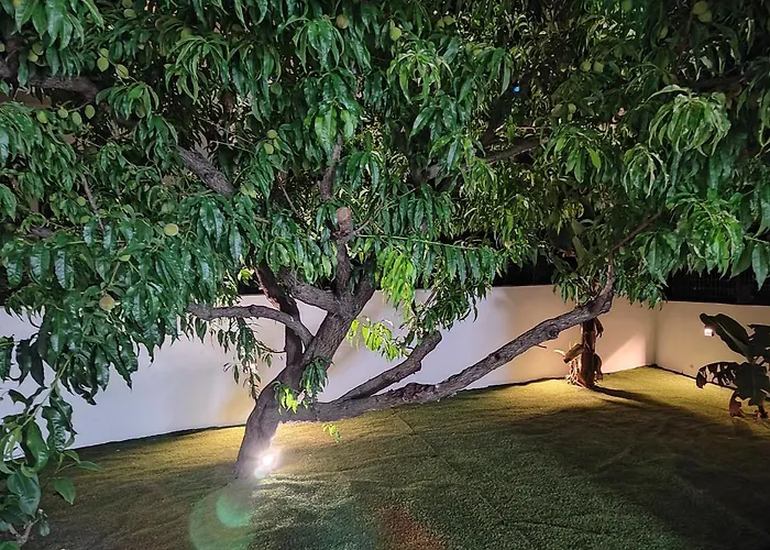 Callisto Apartment Chania (Crete)