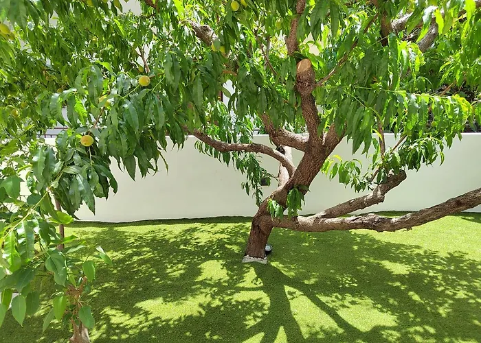 Callisto Apartment *