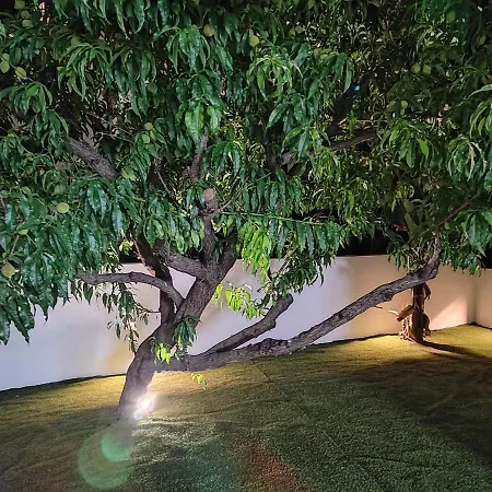 Callisto Apartment Chania (Crete)