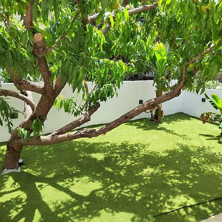 Apartment Callisto Chania (Crete)