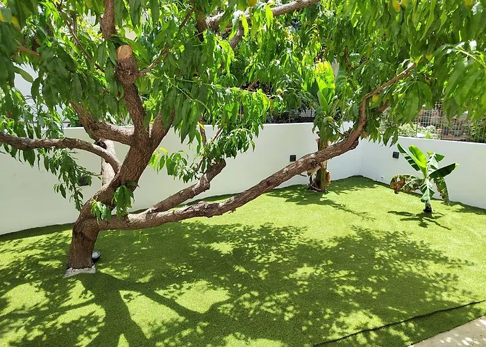 Apartmán Callisto Chania (Crete)